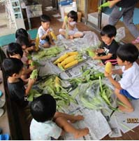 給食の様子