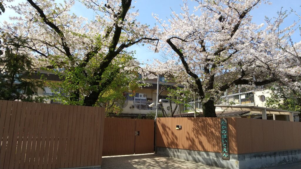 高野保育園の様子