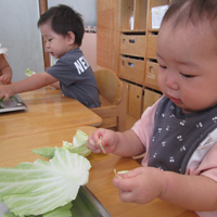 給食の様子