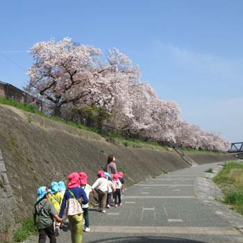 １日のスケジュール